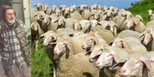 Pastore "fuorilegge" allontanato dalla Val di Zoldo per 4 anni. I paesi vicini tremano: &laquo;Che fine fa il gregge da 400 pecore?&raquo;