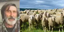 ?Pastore "fuorilegge" col foglio di via trasloca con il gregge da 400 pecore. Il sindaco: &laquo;O riga dritto o chiamo il prefetto&raquo;