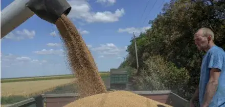 Grano, prezzi record per gli attacchi russi in Ucraina. Quanto possono aumentare pane e pasta. L'allarme di Kallas: &laquo;Tempesta perfetta&raquo;