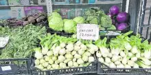 Blocco dei tir, nei mercati di Roma prezzi record: &laquo;Pomodori e lattuga a 10 euro al kg, tre chili di radicchio a 15 euro&raquo;