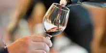 &laquo;Il vino &egrave; cancerogeno, andrebbe trattato come le sigarette. Ecco qual &egrave; la differenza con birra e liquori&raquo;
