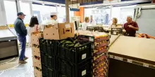 Distributori ancora al palo, cantieri elettrici a rischio ma primi arrivi nei market