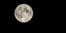 La Luna Piena (del Cacciatore) in Toro spazza via le false certezze: Cancro sereno, Toro alla prova, Leone in affanno