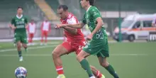 Avellino-Padova 0-1, Calabro ringrazia Zuelli e si conferma ?bestia nera? dei Lupi