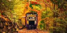 Foliage in Italia, 10 luoghi da vedere e tre treni per godersi l?autunno: da Braies alla Ferrovia dei Parchi