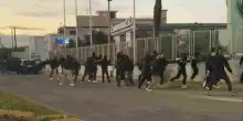 Mario Spedaliere, chi &egrave; il tifoso in fin di vita preso a bastonate dagli ultras dopo Puteolana-Portici. La famiglia: &laquo;Dai medici nessuna speranza&raquo;