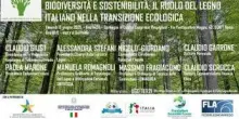 Il ruolo legno italiano in transizione ecologica, tavola rotonda con Afi e Assolegno