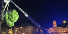 Roma, cade albero in via dei Fori Imperiali: nessun ferito