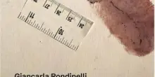 Caso Garlasco: al Senato riflessione sulla giustizia in presentazione libro Rondinelli