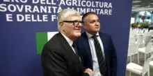 Vinitaly, al padiglione Masaf confronto su gestione rischio in filiera vitivinicola
