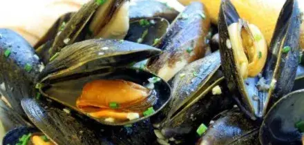 Asl Napoli, Casi epatite A aumentati di 41 volte rispetto a ultimo triennio