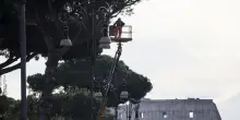 Crolla albero ai Fori Imperiali, tre feriti lievi
