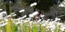 Alta pressione sull'Italia, bel tempo ovunque fino a luned&igrave;