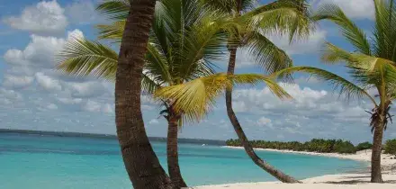 Incendio in un resort della Repubblica Dominicana, la Farnesina assiste 285 italiani