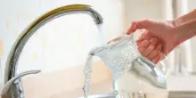 Consulta, l'acqua del rubinetto al ristorante non &egrave; un diritto