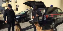 Sorelle scomparse: per le ricerche impiegati anche cani da 'mantrailing'
