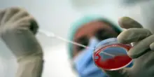 'Procreazione assistita per i single e le coppie di donne', al via la raccolta firme