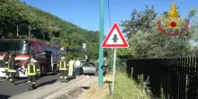 Mandria su strada, ferite quattro persone, muoiono sette mucche