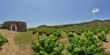 Aumentano tariffe Caronte & Tourist per isole minori Sicilia, scoppia la polemica