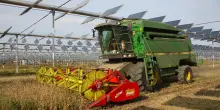 Althesys, da sviluppo agrivoltaico 11,8 miliardi all'Italia