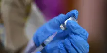 Un anticorpo contro tumore a testa e collo, efficace anche su polmone e colon