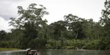Panama, gli Usa stanziano 3 milioni per bonificare la giungla del Dari&eacute;n