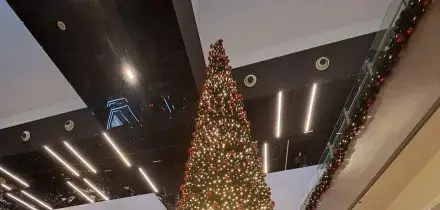 Da lunedì 42 miliardi tredicesime, a erario 13,8 miliardi