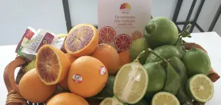 Export ortofrutta +7,6% nel primo trimestre, agrumi ko per ciclone Harry