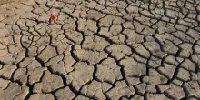 Innovazione sociale e clima i temi eco pi&ugrave; trattati dai media italiani