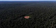 Brasile, le banche arruolate contro la deforestazione in Amazzonia