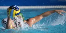 Pallanuoto: Barelli, complimenti Pro Recco per vittoria Euro Cup