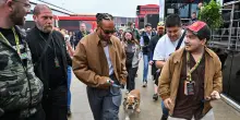 F1: in ansia per la salute del cane, Hamilton salta test Mugello