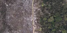 Brasile, deforestazione Amazzonia +4% in 12 mesi