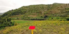 Il prezzo del gas &egrave; quasi invariato sotto i 50 euro