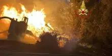 Macchinario prende fuoco, rogo nella pineta di Castel Fusano
