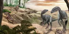 Scoperto sulle Ande uno dei dinosauri più antichi al mondo