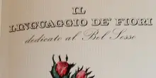 Bardi ristampa 'Il linguaggio dei fiori dedicato al bel sesso'