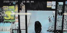 Giappone, orso irrompe al supermercato e ferisce due clienti