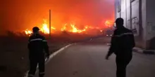 Incendi in Algeria, evacuate decine di famiglie a Tipaza