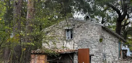 Famiglia nel bosco, chiesta al Csm pratica a tutela del Tribunale dei minori dell'Aquila