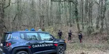 Famiglia nel bosco e figli allontanati, un caso nell'Aretino