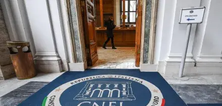 Cnel, l'evento "Profilo della sanit&agrave;. Stato di salute del sistema sanitario in Italia"