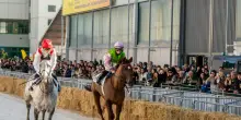 Fieracavalli chiude con oltre 140mila visitatori