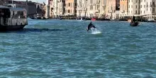 Un delfino a Venezia, 'non avvicinatevi'