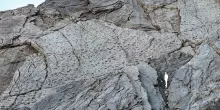 Scoperte migliaia di orme di dinosauri nel Parco dello Stelvio