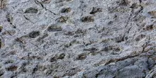 Scoperte migliaia di orme di dinosauri nel Parco dello Stelvio