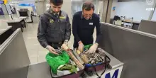 A Linate sequestrate 6,5 tonnellate di generi alimentari 'pericolosi'