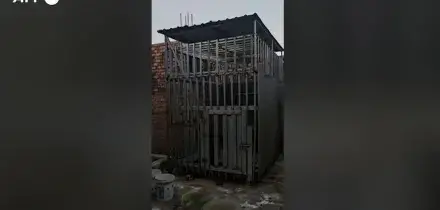 In gabbia e senza cure, orsi e leoni salvati dalla Marina Militare thailandese