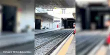 La corsa del cervo sui binari, l'incredibile avvistamento alla stazione nel Varesotto
