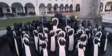 Torna 'Banksy Triestino', a Gorizia 90 pinguini in spirito pace
